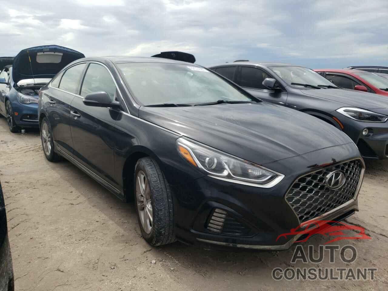 HYUNDAI SONATA 2018 - 5NPE34AF7JH639455