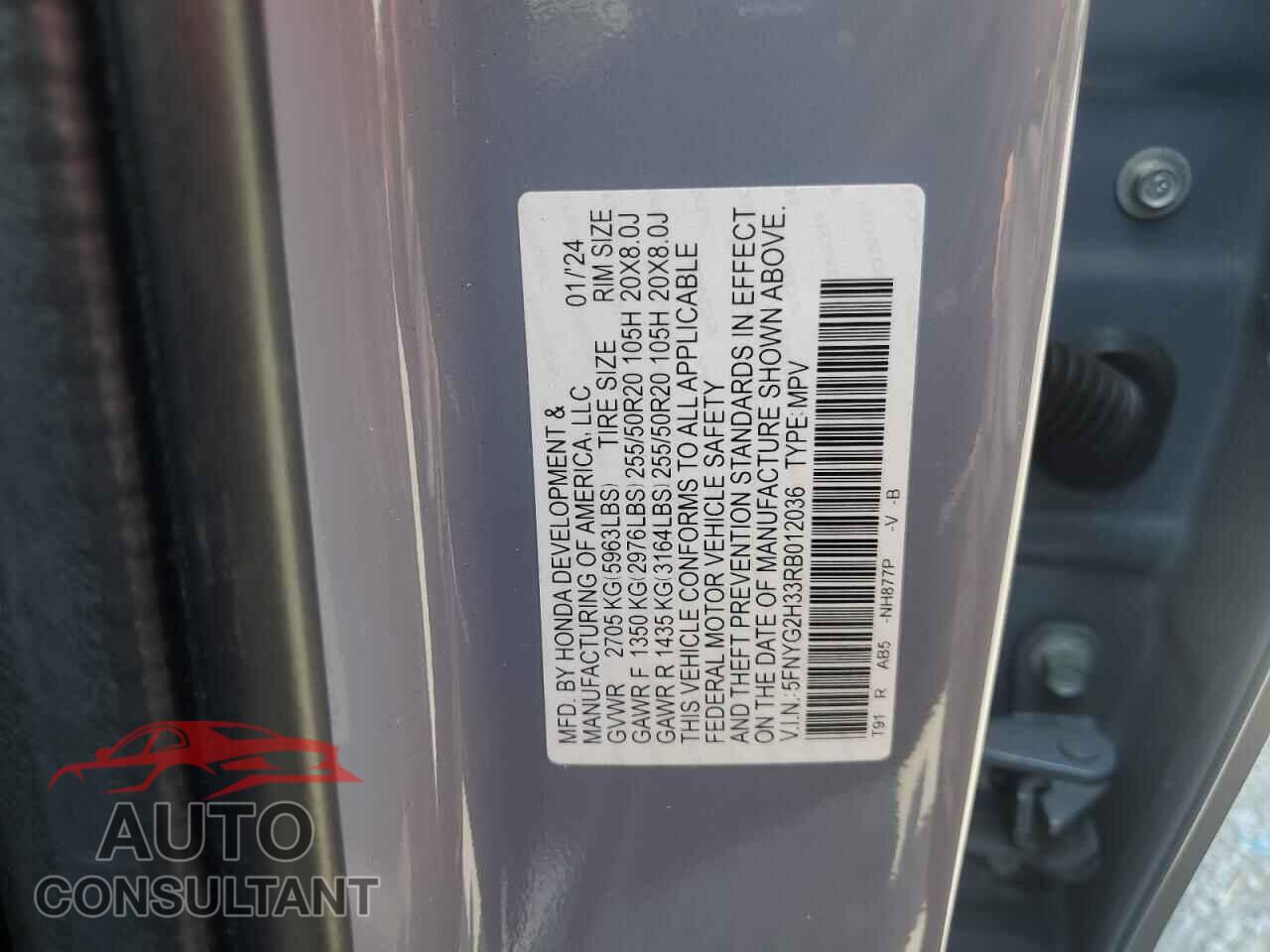 HONDA PILOT 2024 - 5FNYG2H33RB012036
