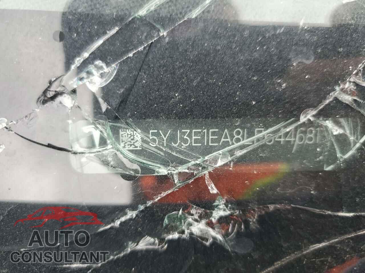 TESLA MODEL 3 2020 - 5YJ3E1EA8LF644681