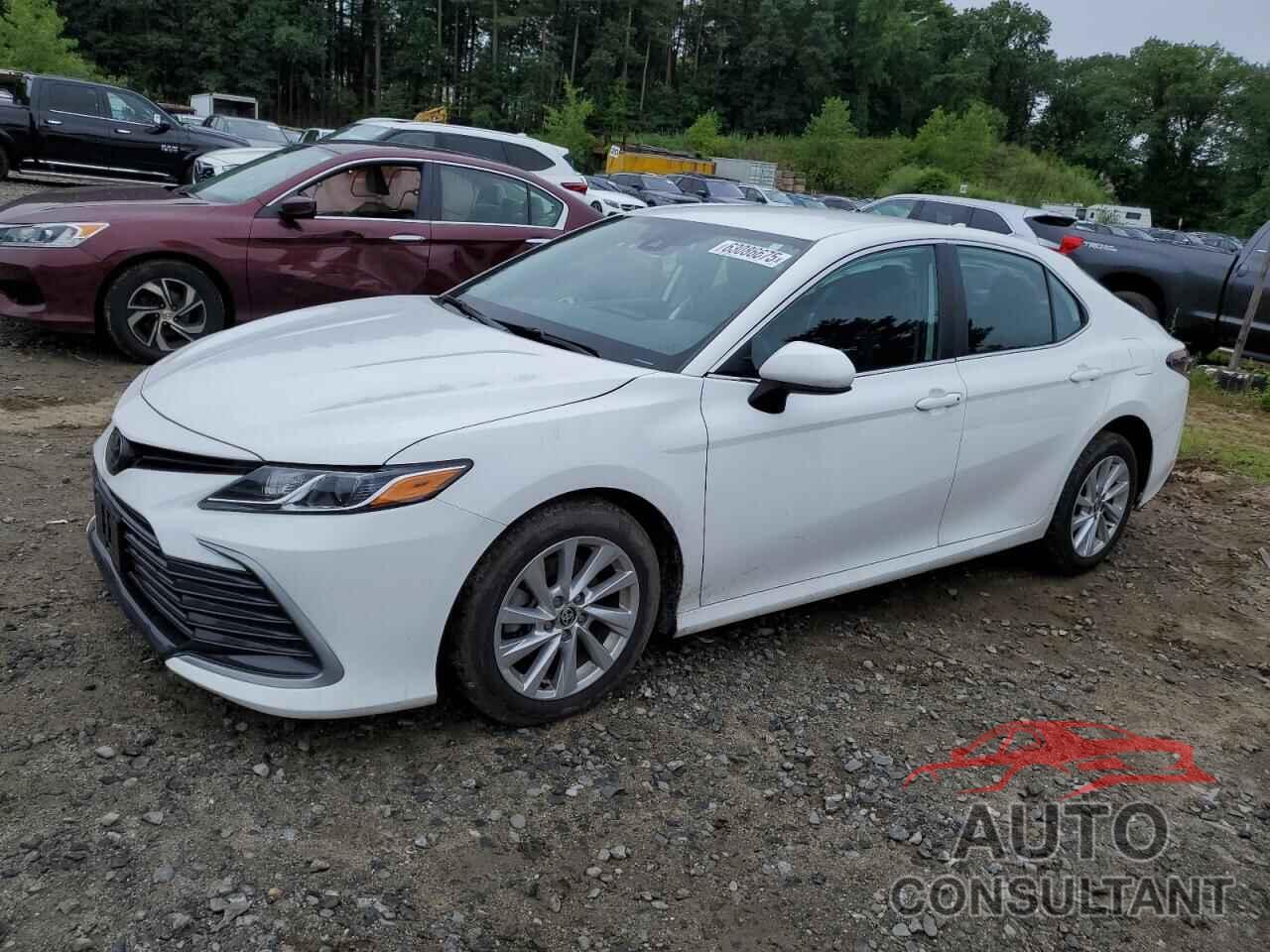 TOYOTA CAMRY 2023 - 4T1C11BKXPU103830