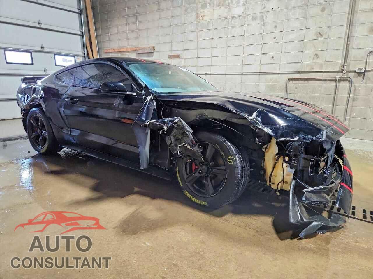 FORD MUSTANG 2019 - 1FA6P8TH3K5116262