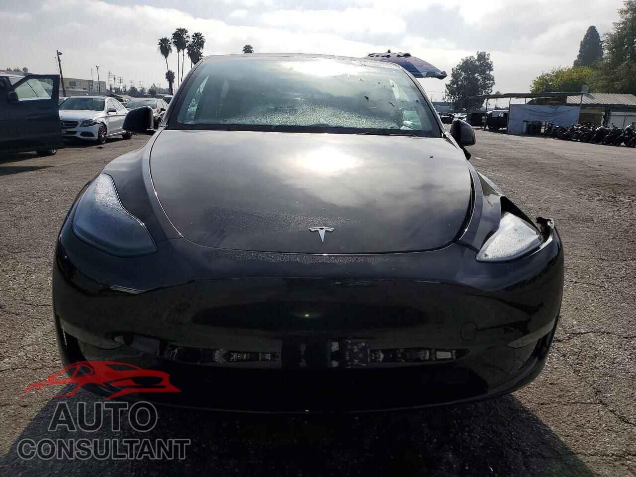 TESLA MODEL Y 2024 - 7SAYGDED4RF109760
