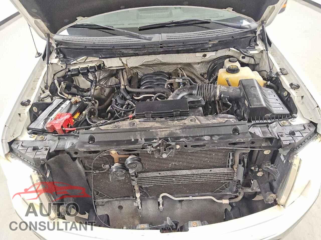 FORD F150 2012 - 1FTFW1CF9CFC40129