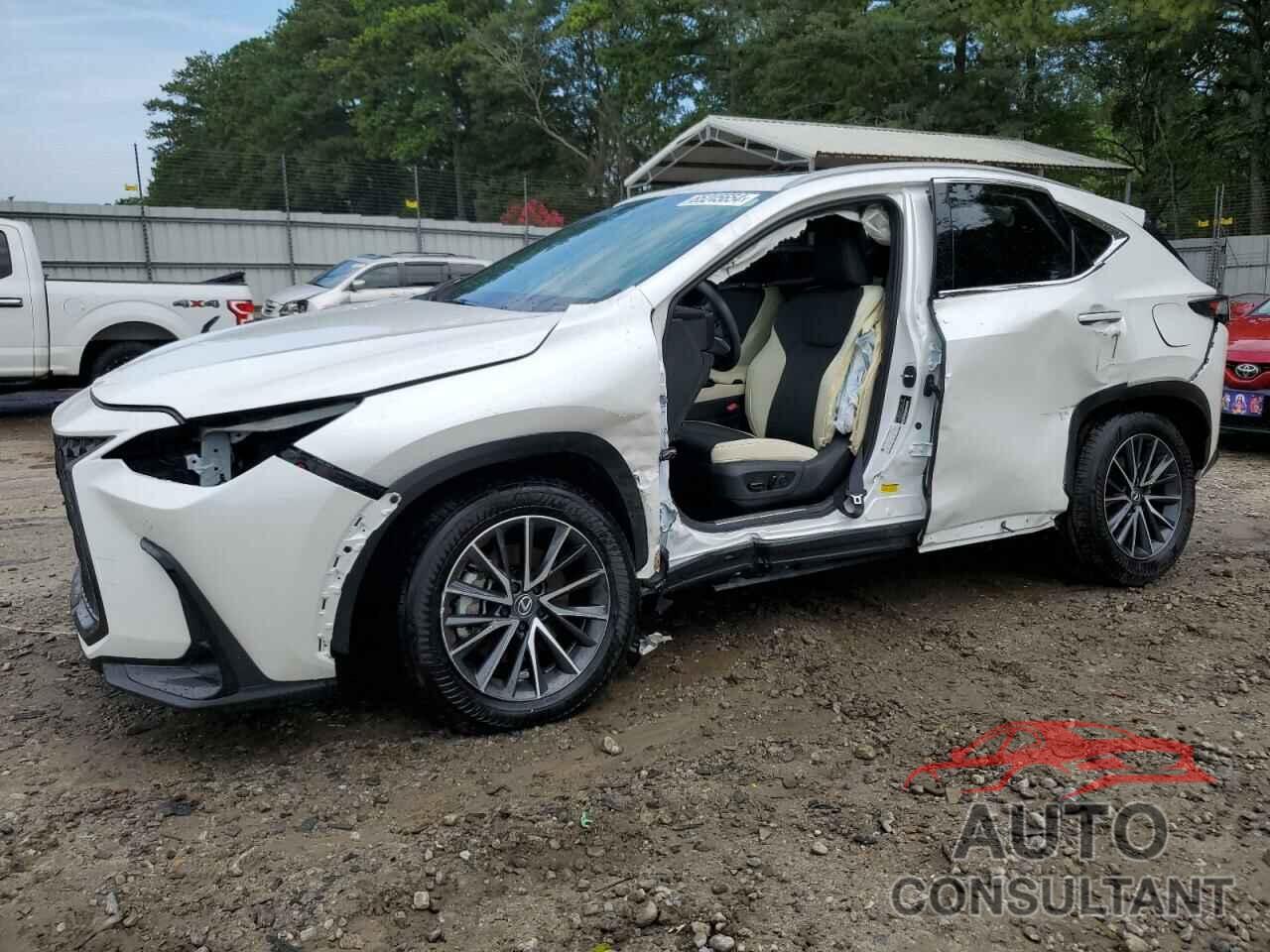 LEXUS NX 250 PRE 2024 - 2T2GDCAZ3RC011025