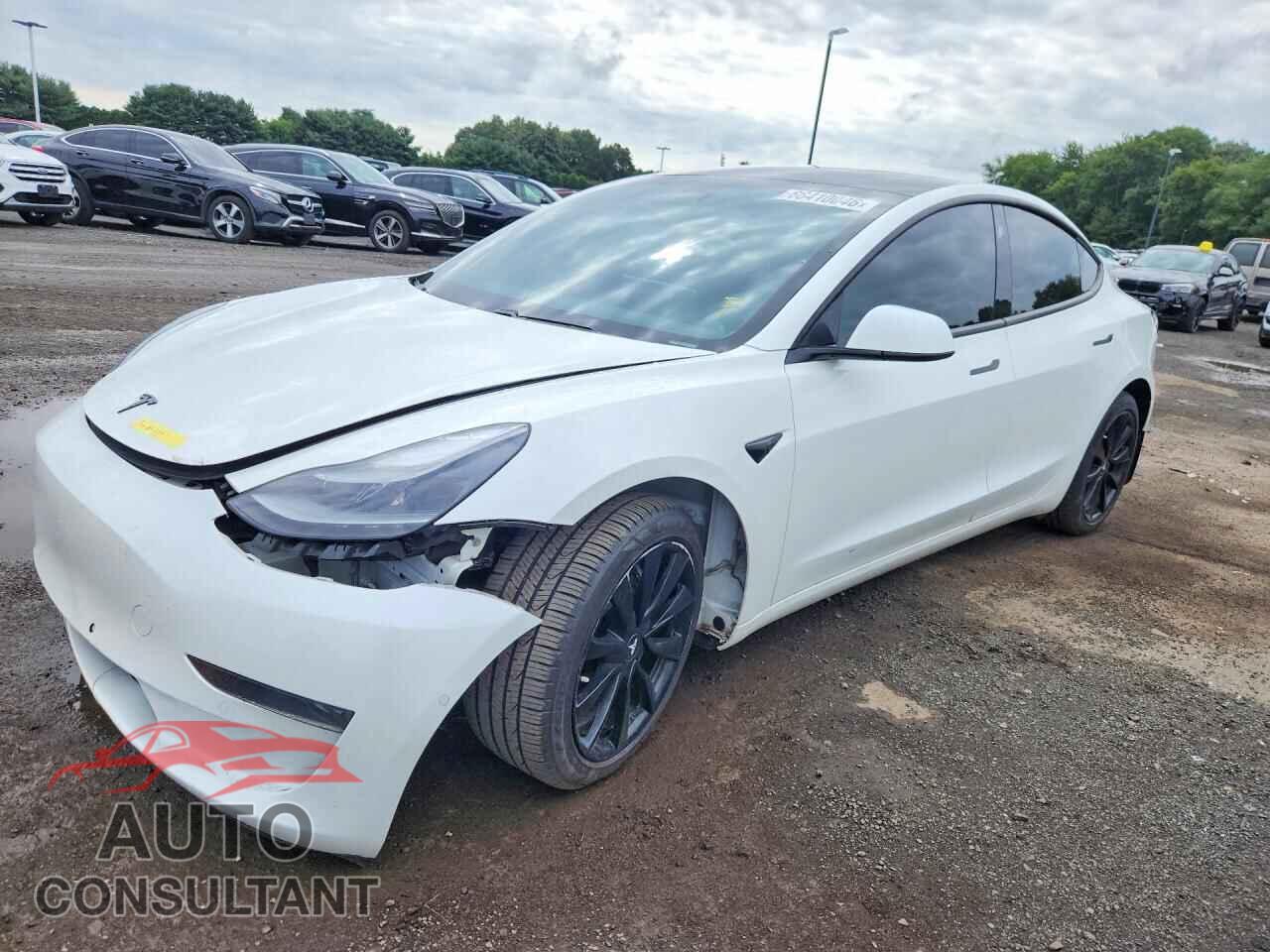 TESLA MODEL 3 2021 - 5YJ3E1EA3MF043812