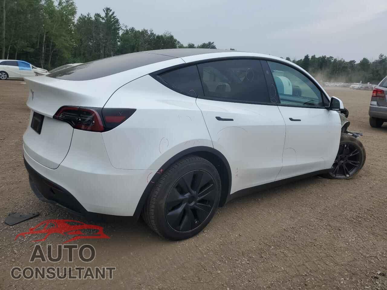 TESLA MODEL Y 2024 - LRWYGDFD7RC639369