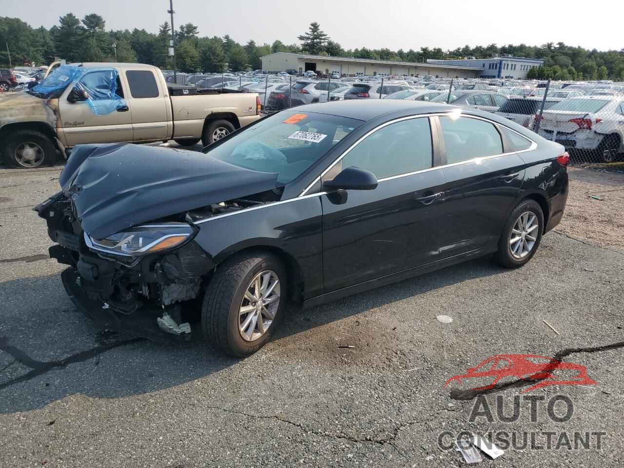 HYUNDAI SONATA 2019 - 5NPE24AF8KH744414