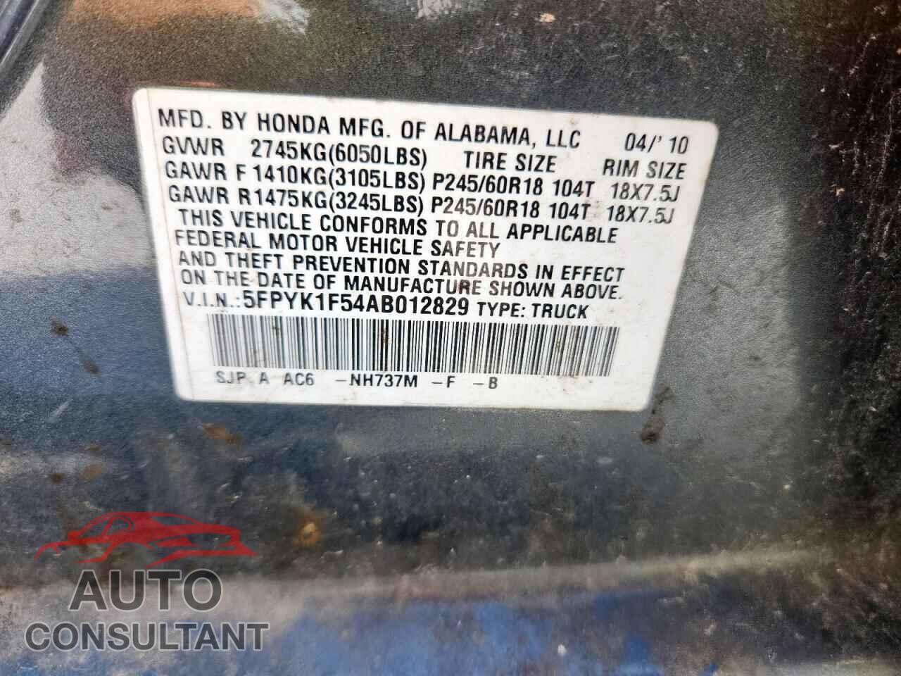 HONDA RIDGELINE 2010 - 5FPYK1F54AB012829