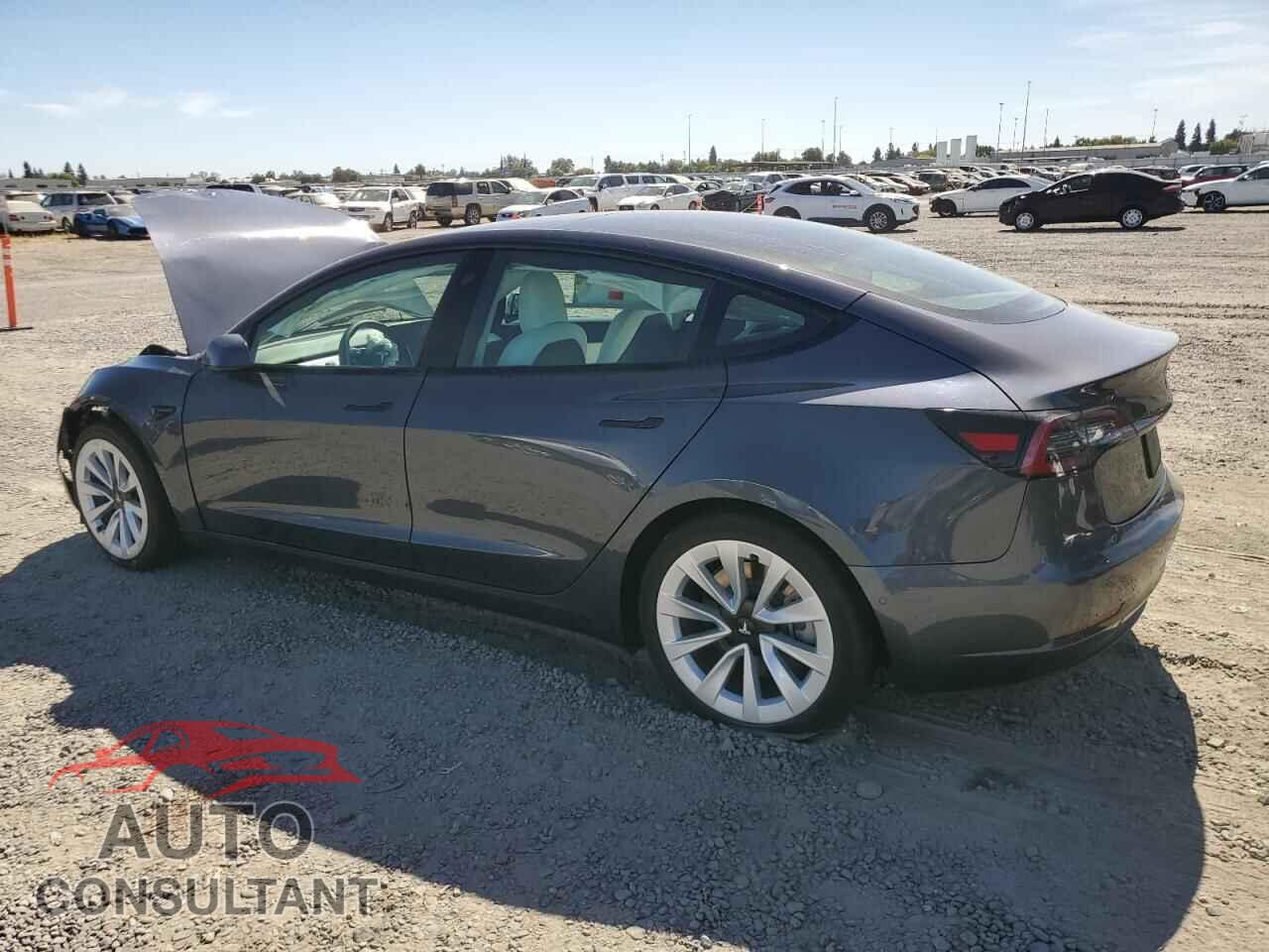 TESLA MODEL 3 2021 - 5YJ3E1EA4MF908741