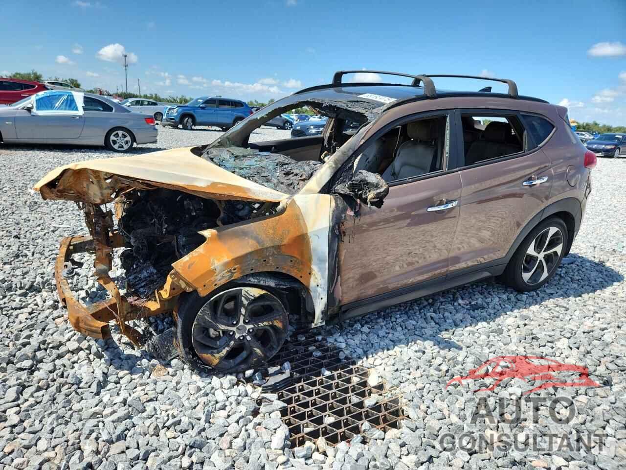 HYUNDAI TUCSON 2016 - KM8J33A25GU131436