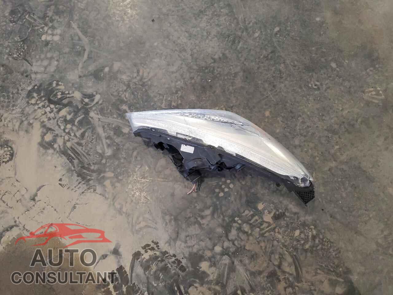 FORD FOCUS 2016 - 1FADP3F29GL310962