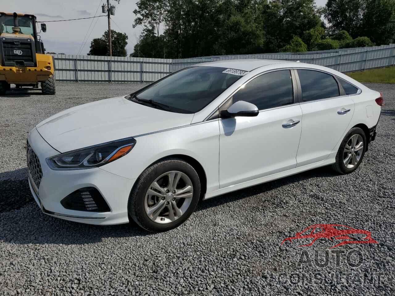 HYUNDAI SONATA 2019 - 5NPE34AF1KH791300