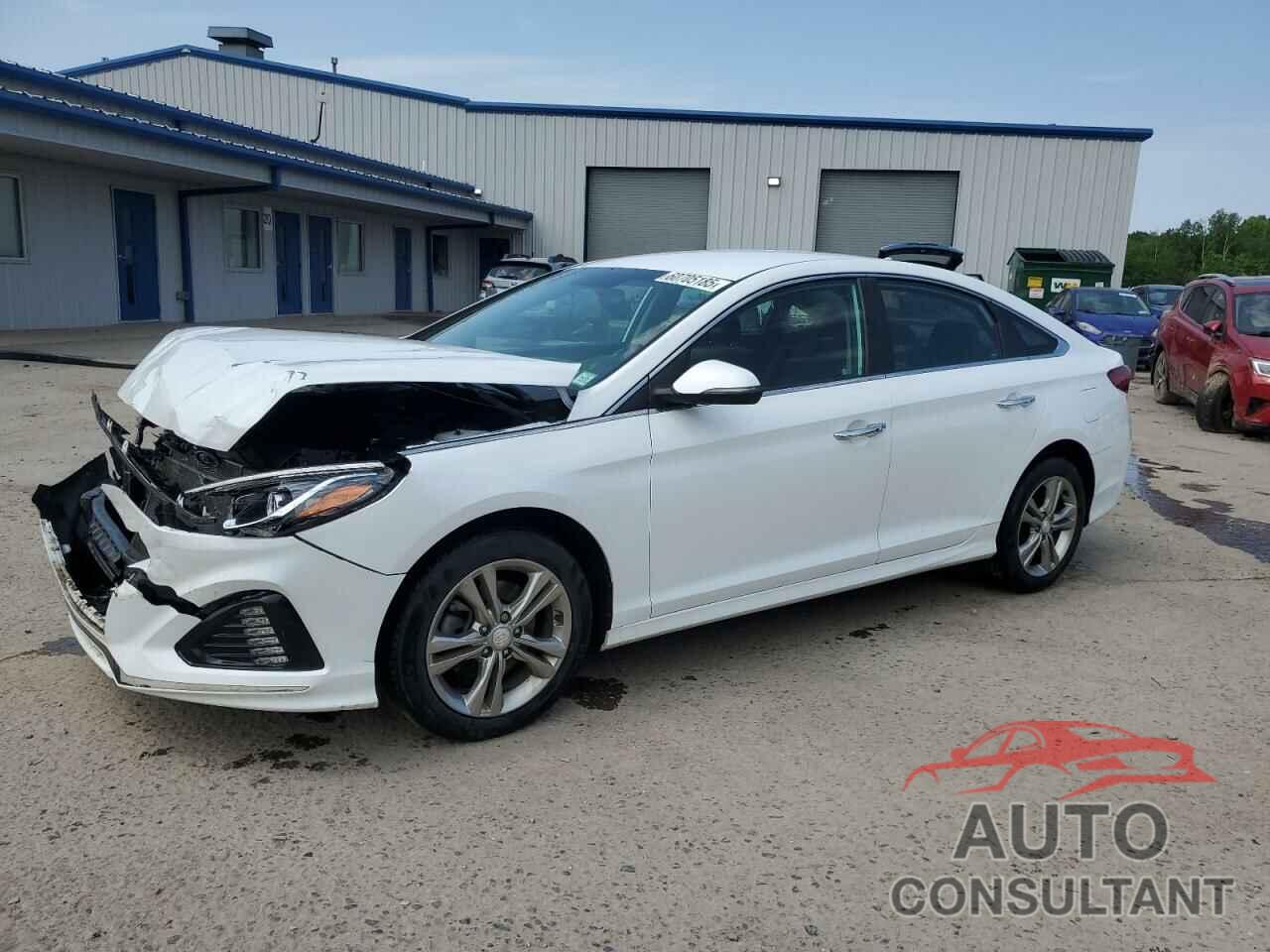 HYUNDAI SONATA 2019 - 5NPE34AF4KH761482