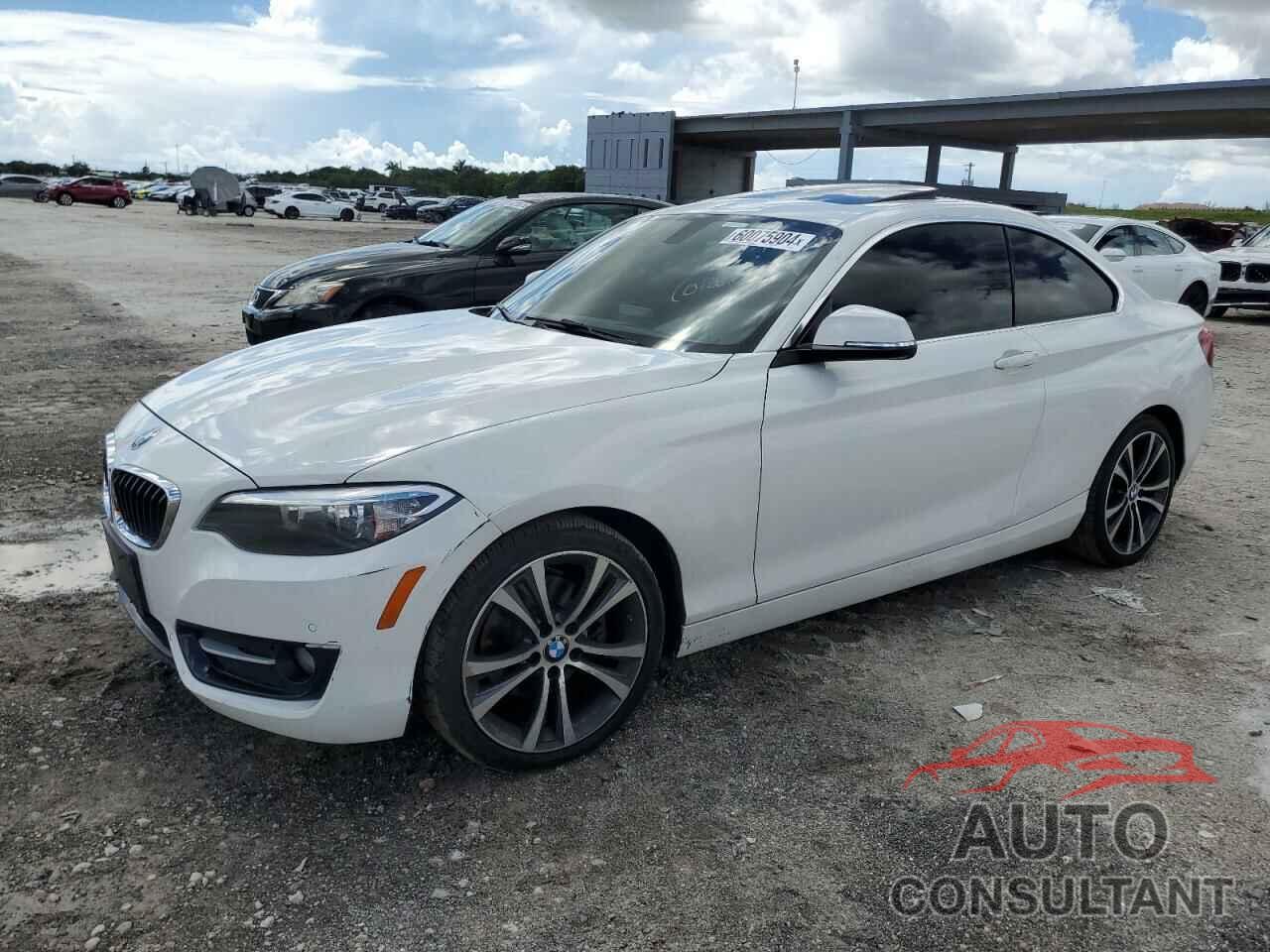 BMW 2 SERIES 2017 - WBA2F9C34HV664797