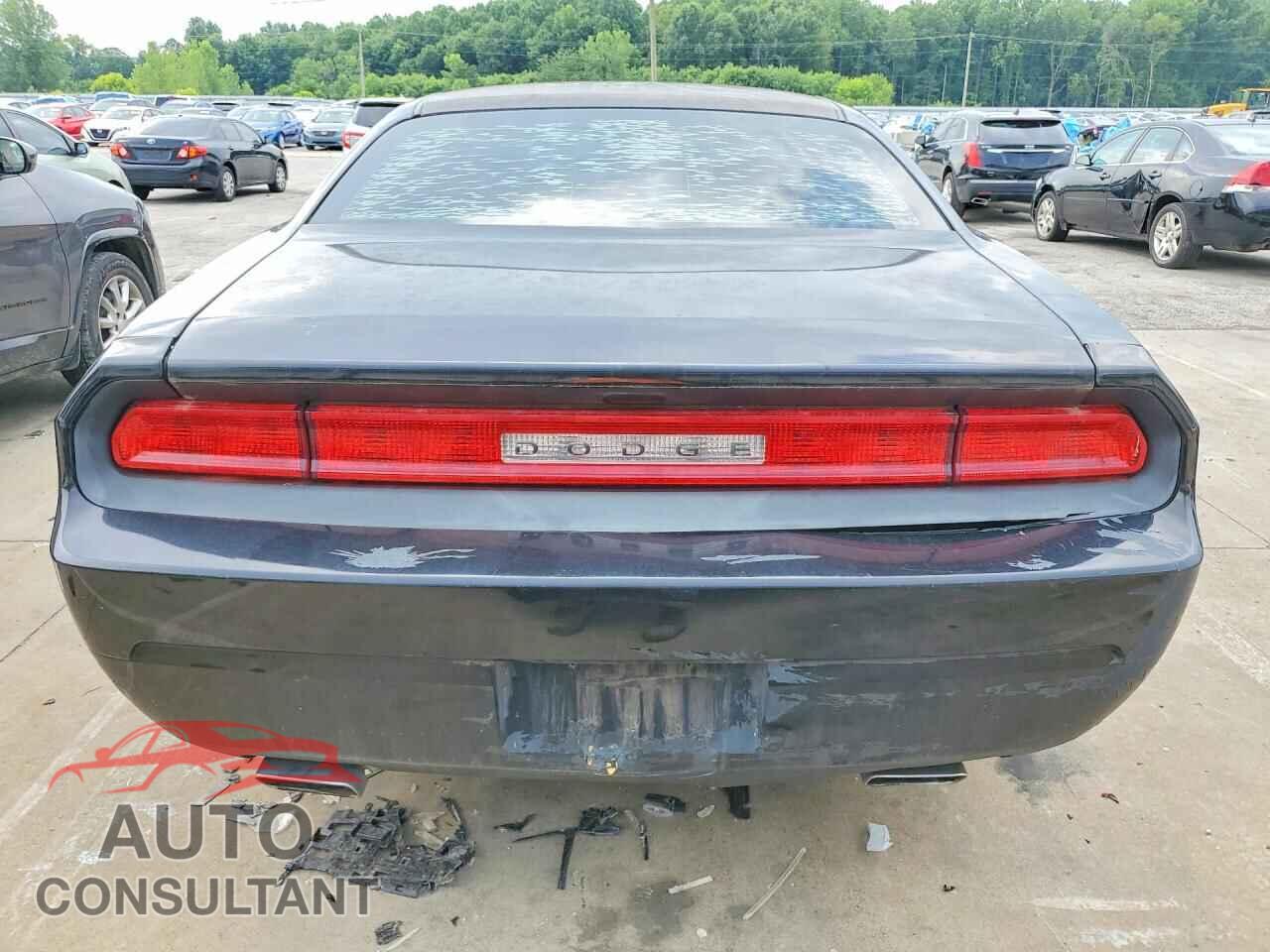 DODGE CHALLENGER 2013 - 2C3CDYAG9DH578809