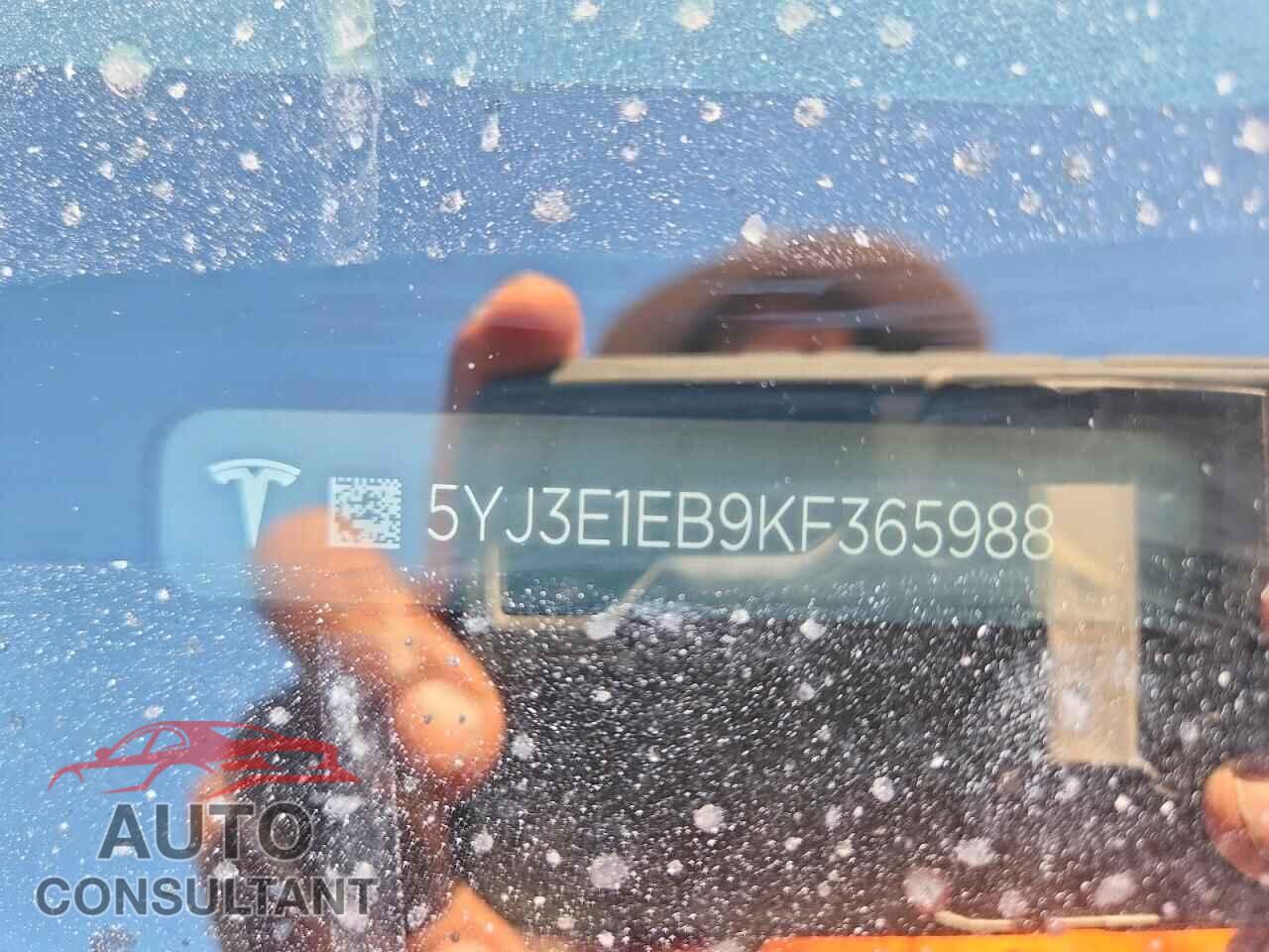 TESLA MODEL 3 2019 - 5YJ3E1EB9KF365988