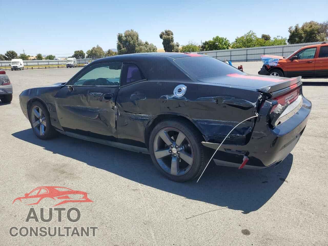 DODGE CHALLENGER 2013 - 2C3CDYAG9DH631217