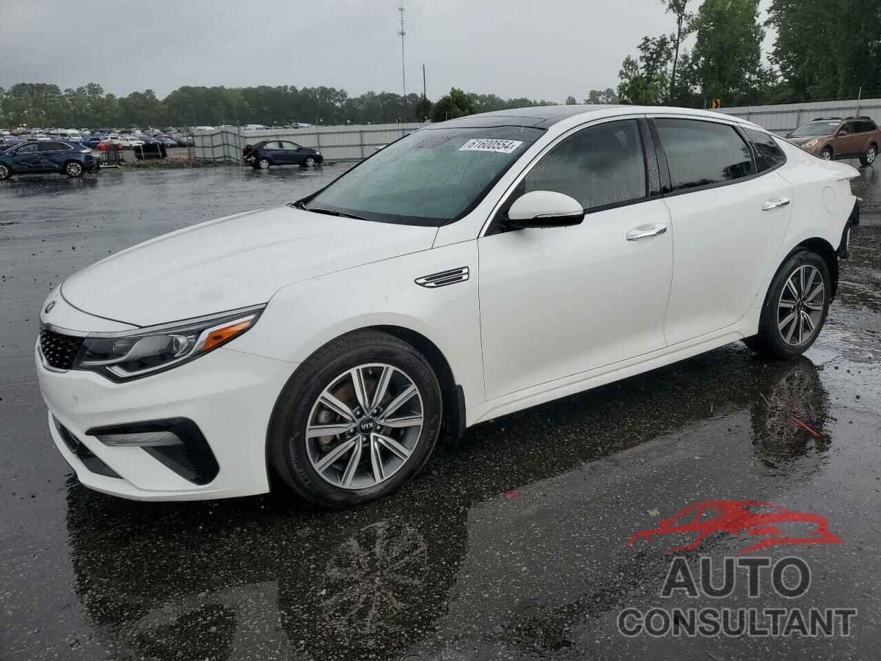 KIA OPTIMA 2019 - 5XXGT4L31KG332453