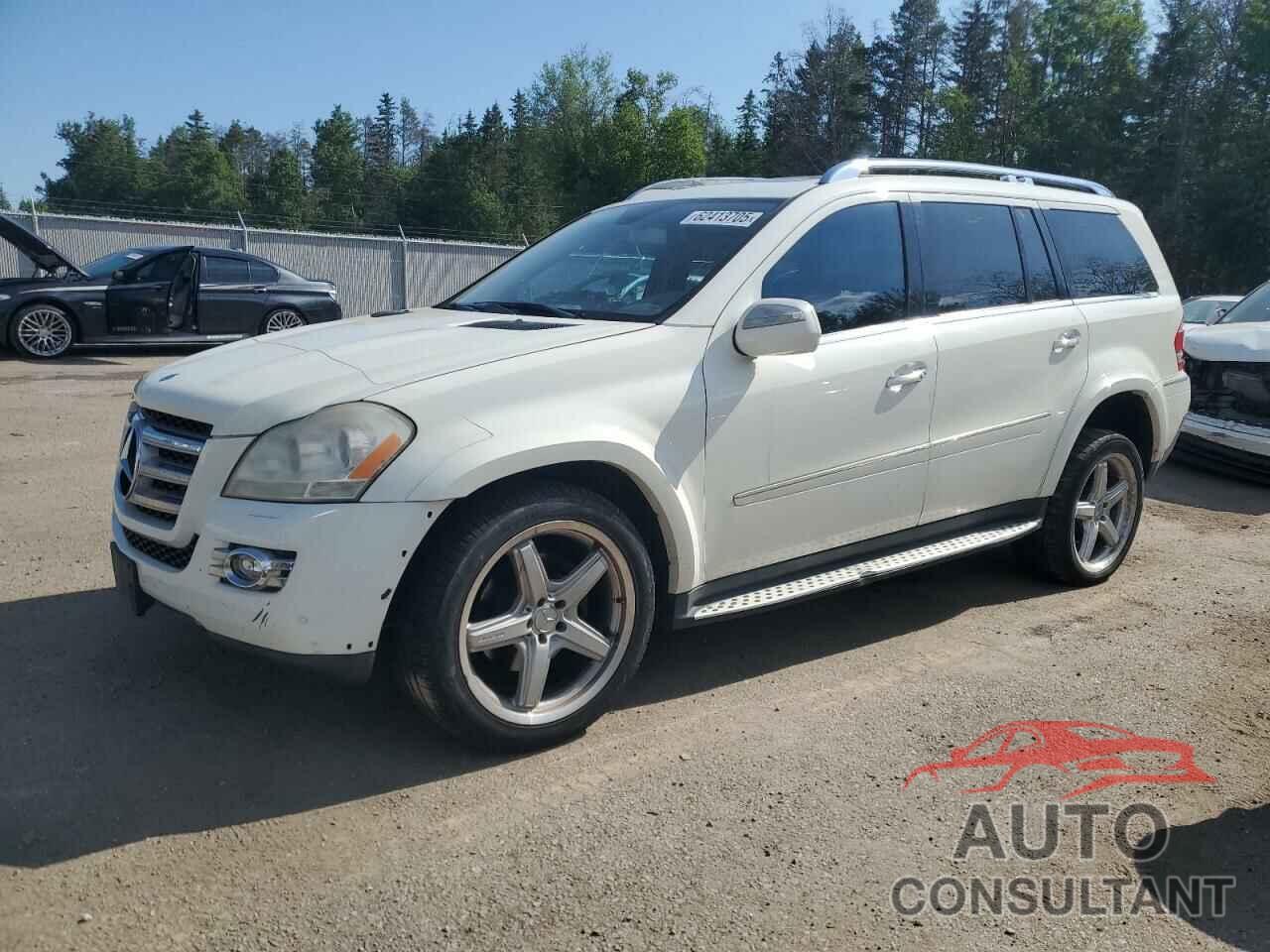 MERCEDES-BENZ GL-CLASS 2009 - 4JGBF86E49A528023