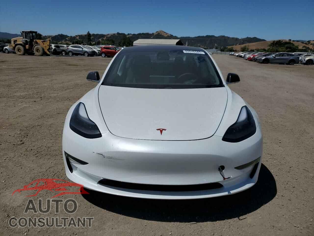 TESLA MODEL 3 2019 - 5YJ3E1EB6KF442445