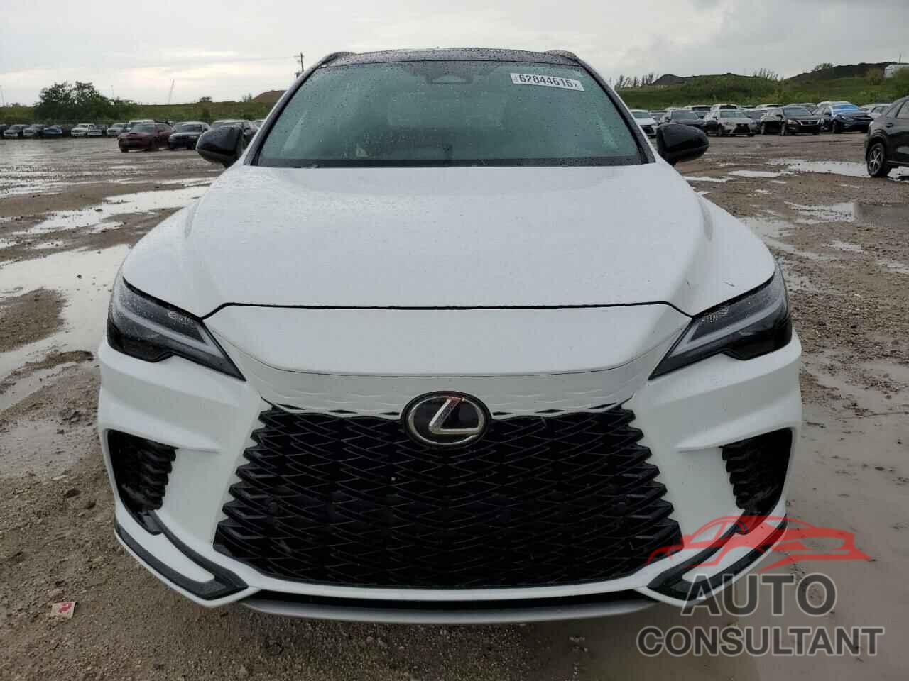 LEXUS RX 500H F 2024 - 2T2BCMEA2RC019916