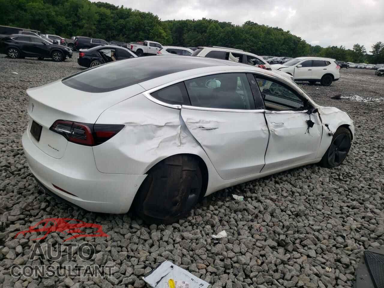 TESLA MODEL 3 2019 - 5YJ3E1EB3KF493689