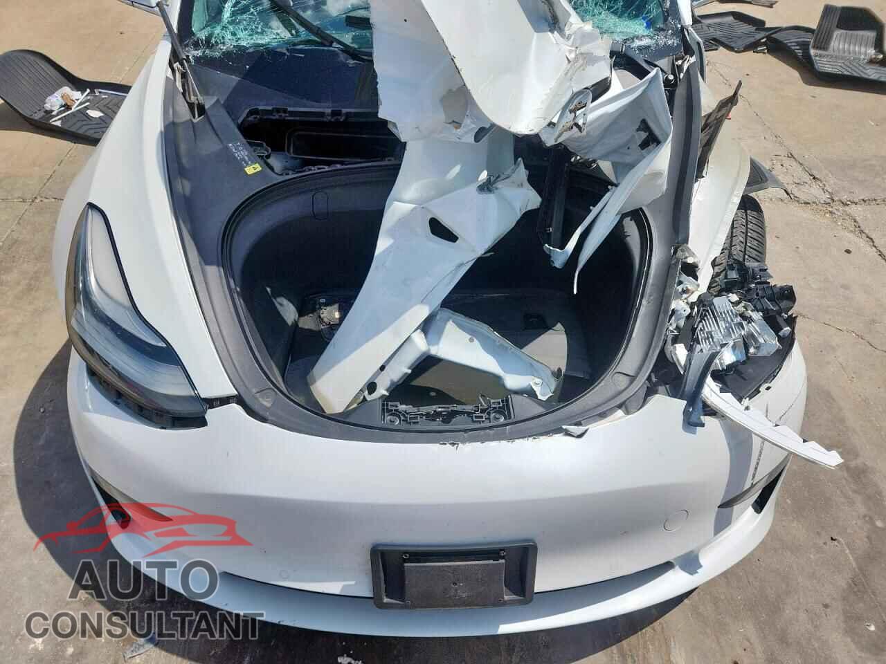 TESLA MODEL 3 2019 - 5YJ3E1EB2KF408339