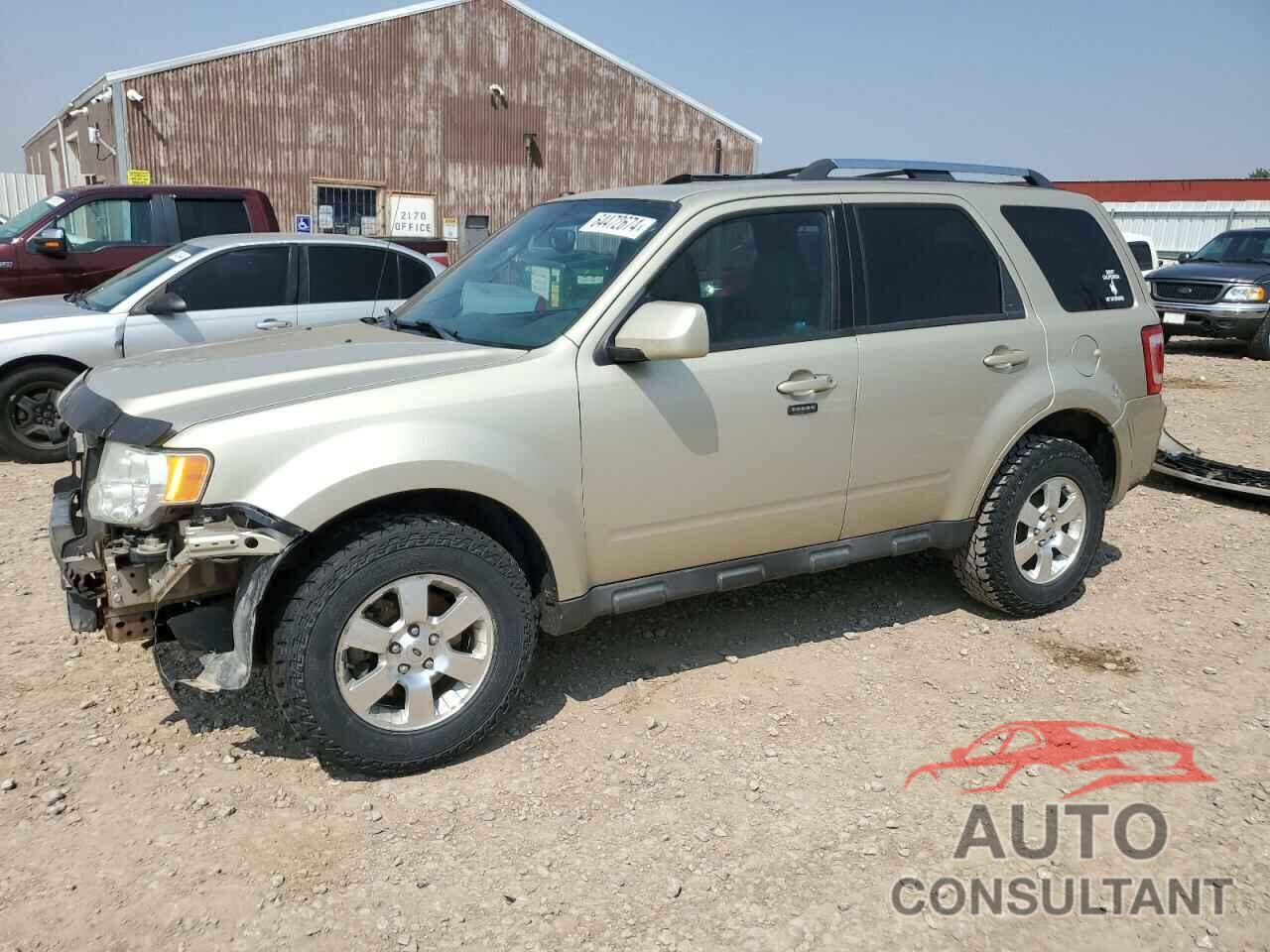 FORD ESCAPE 2011 - 1FMCU9EG0BKC63376