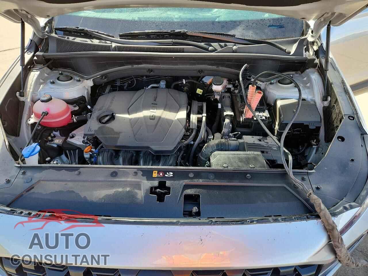 HYUNDAI SANTA FE 2023 - 5NMS14AJ3PH647071
