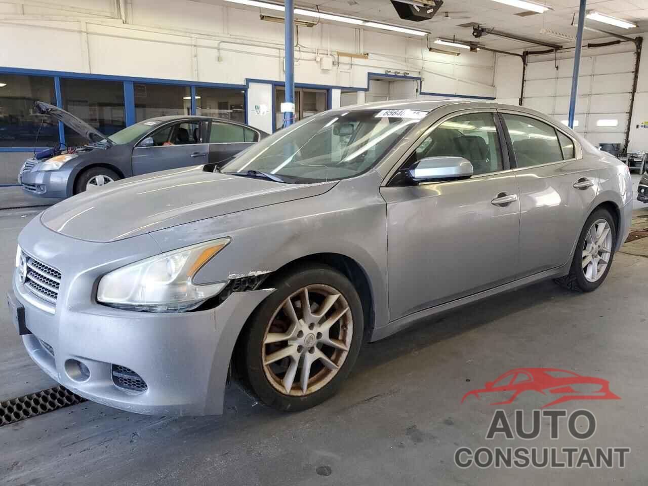 NISSAN MAXIMA 2009 - 1N4AA51E69C835059