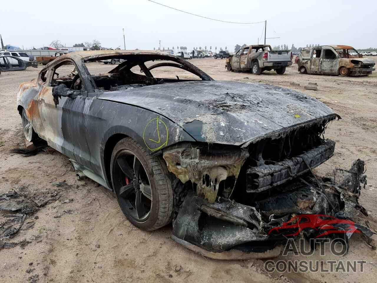 FORD MUSTANG 2019 - 1FA6P8K01K5502254