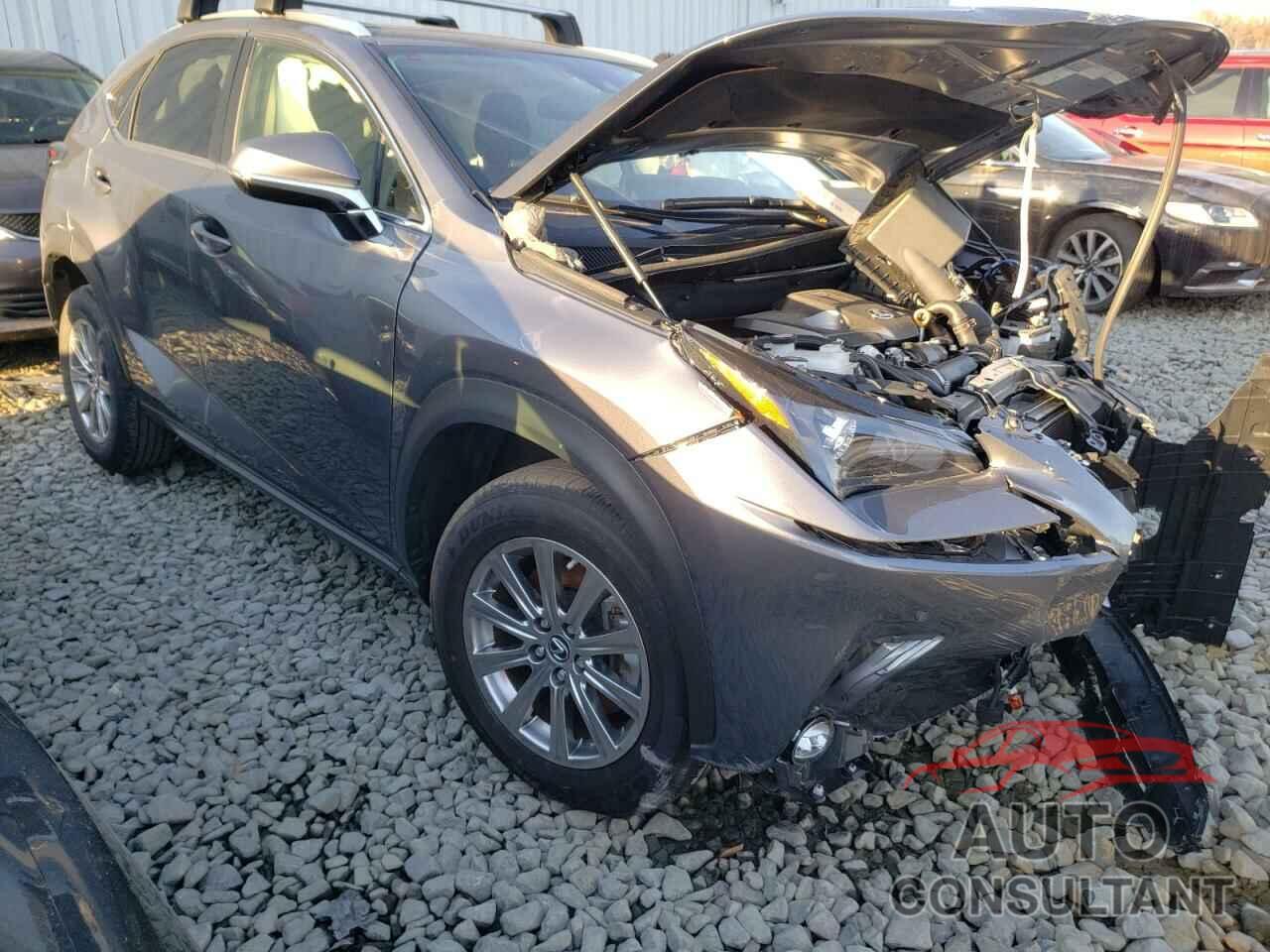 LEXUS NX 2019 - JTJDARDZ2L2234822