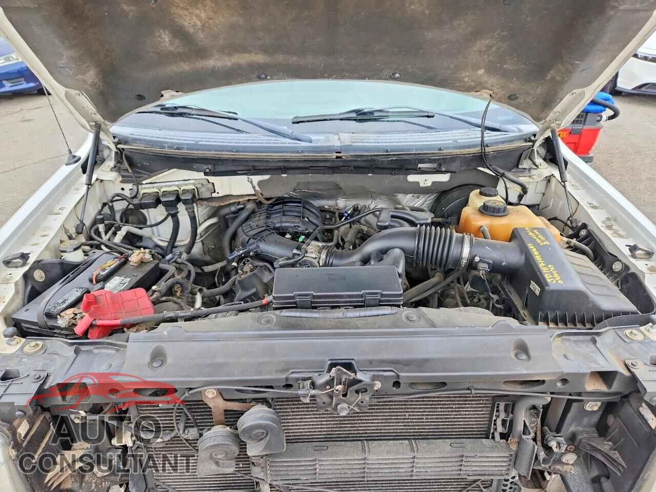 FORD F150 2013 - 1FTEX1CM7DFD69558