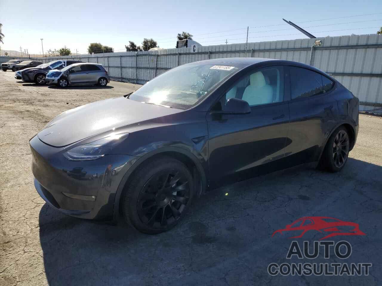 TESLA MODEL Y 2024 - 7SAYGAEE1RF165484