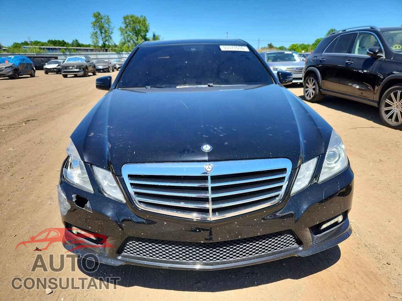 MERCEDES-BENZ E-CLASS 2010 - WDDHF9AB2AA170593