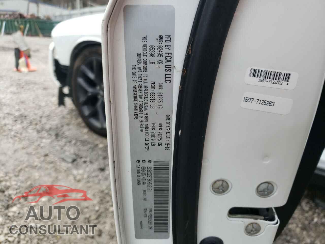 DODGE CHALLENGER 2019 - 2C3CDZBT9KH512131