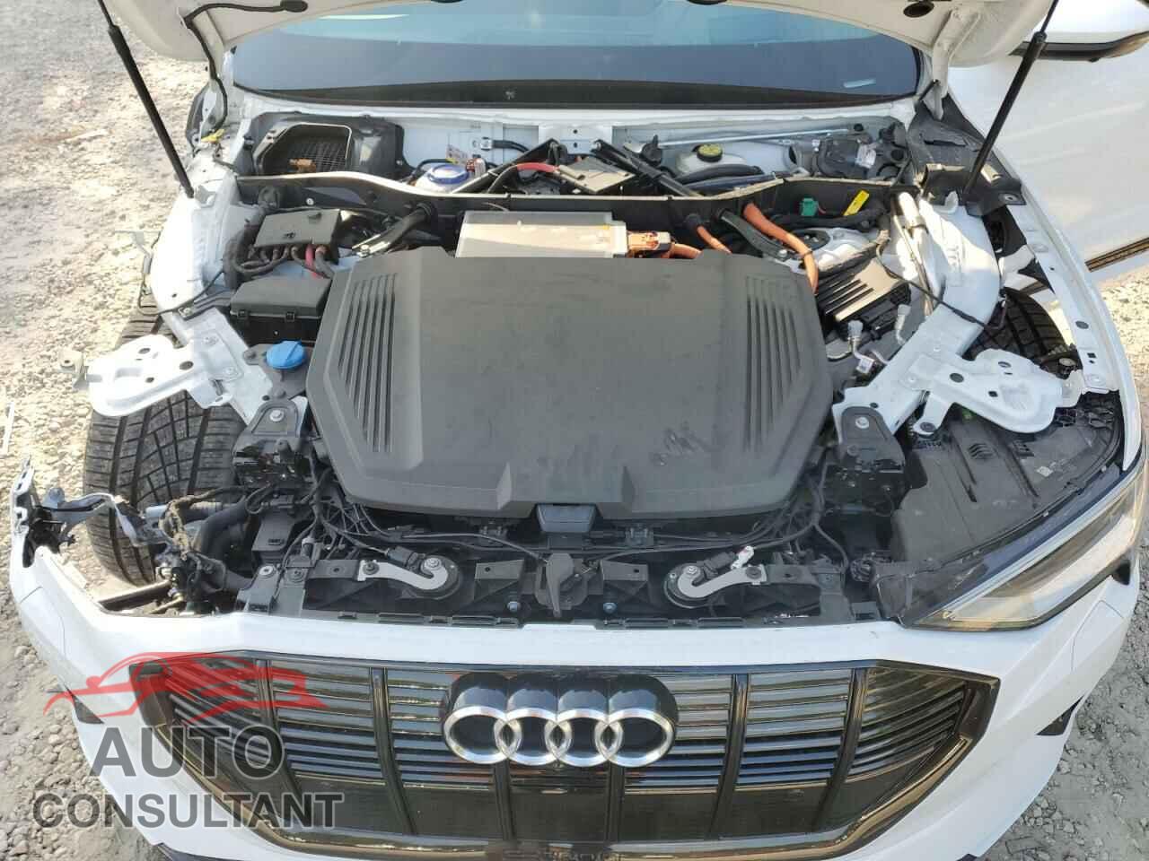 AUDI E-TRON 2021 - WA1VABGE9MB026522
