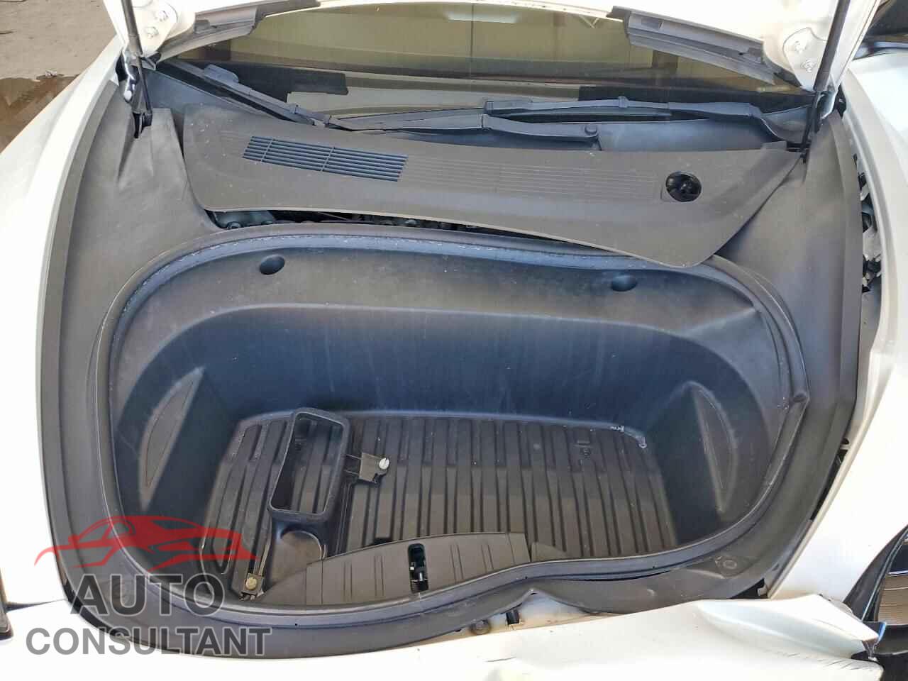 TESLA MODEL 3 2021 - 5YJ3E1EA0MF096645