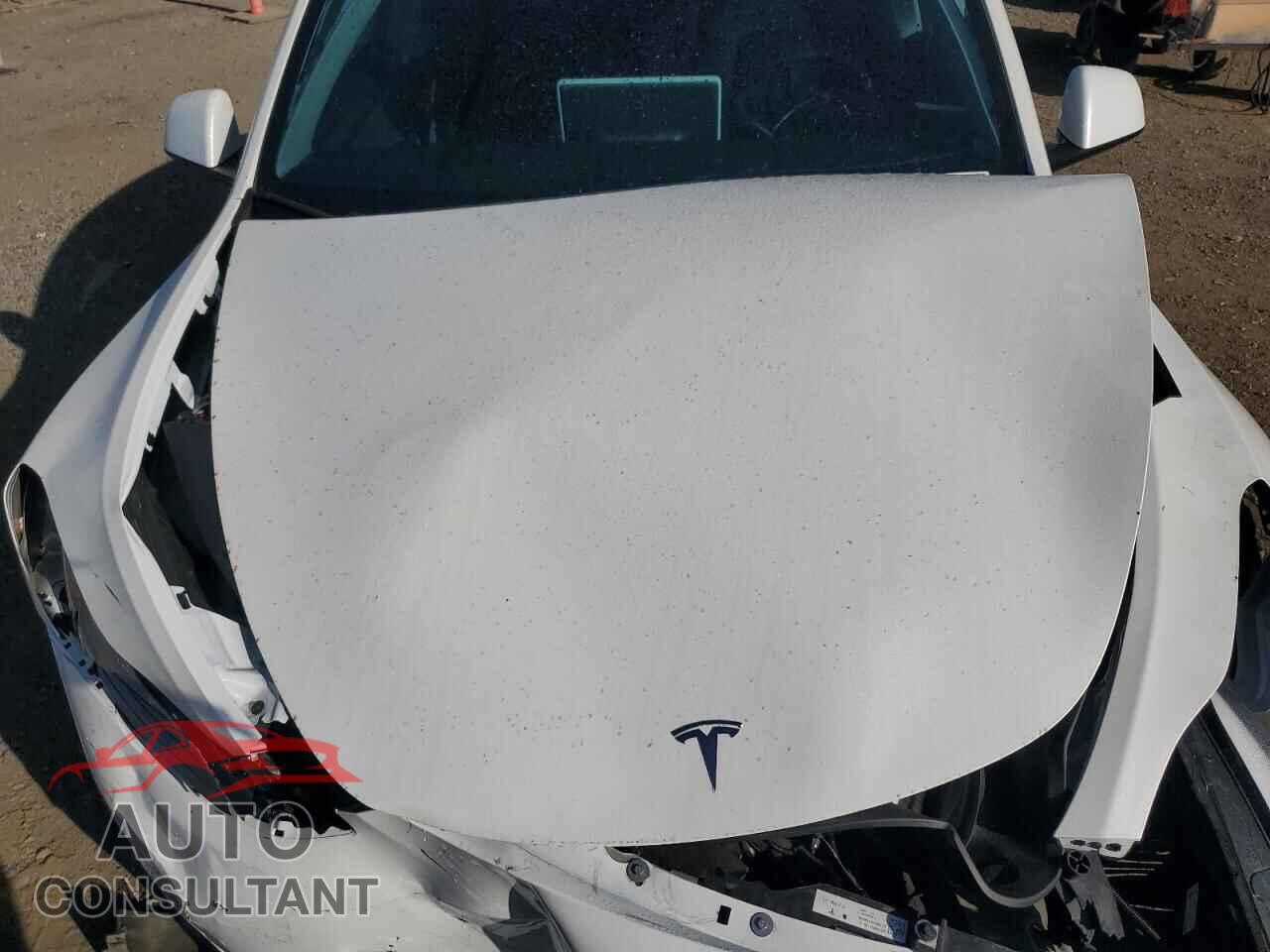 TESLA MODEL Y 2024 - 7SAYGDED5RF123120
