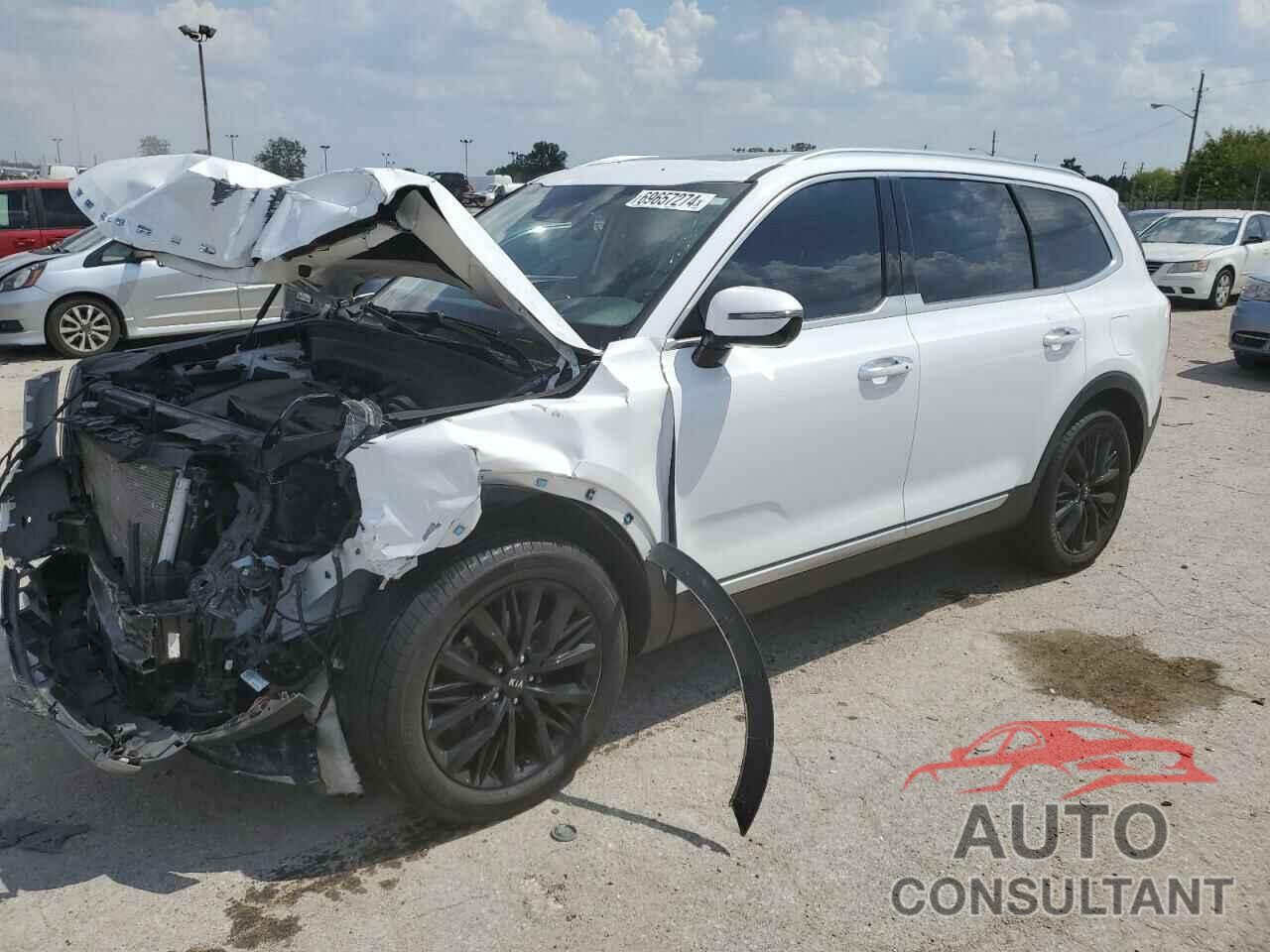 KIA TELLURIDE 2021 - 5XYP5DHC5MG134282