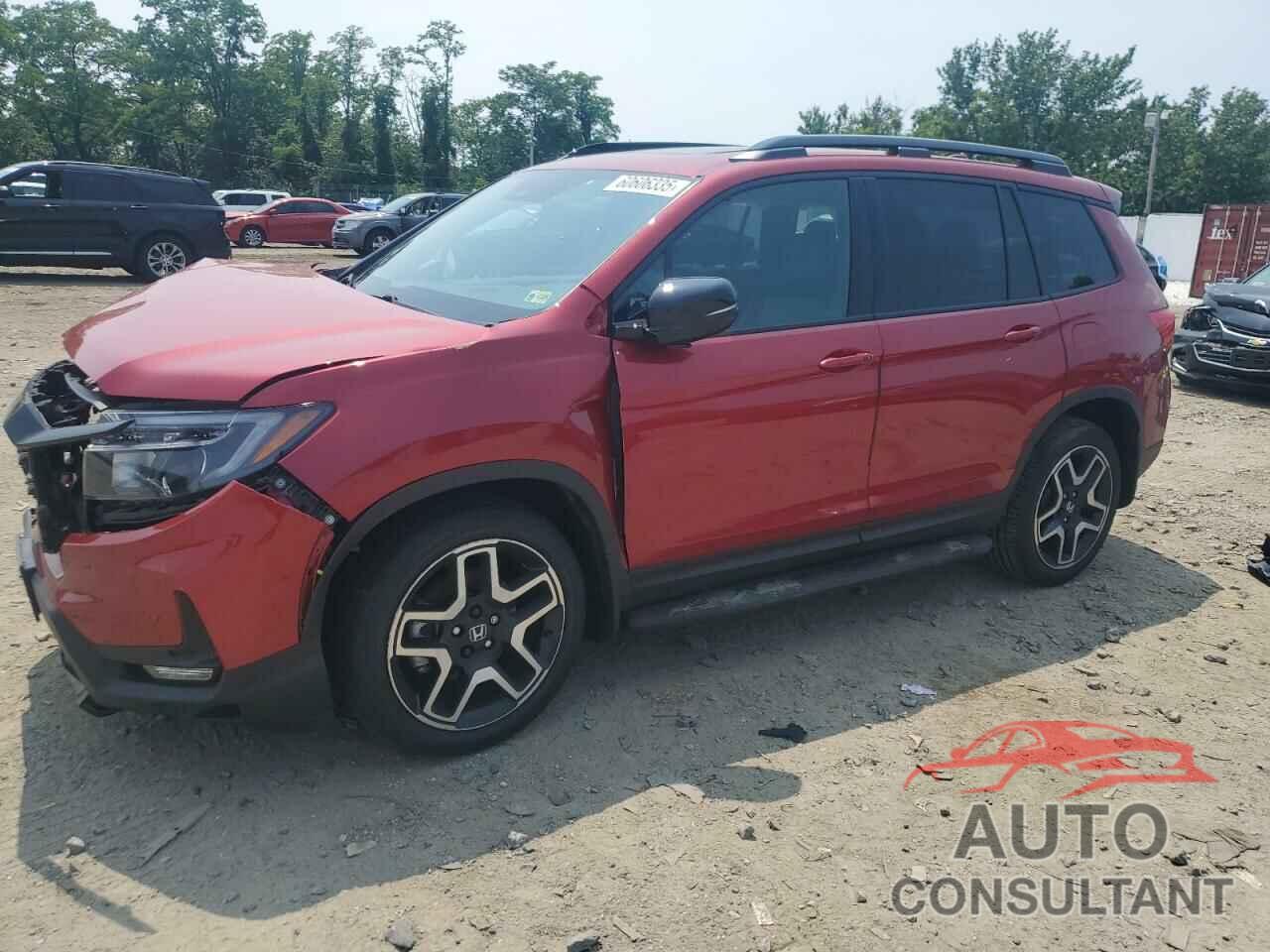 HONDA PASSPORT 2022 - 5FNYF8H02NB013295
