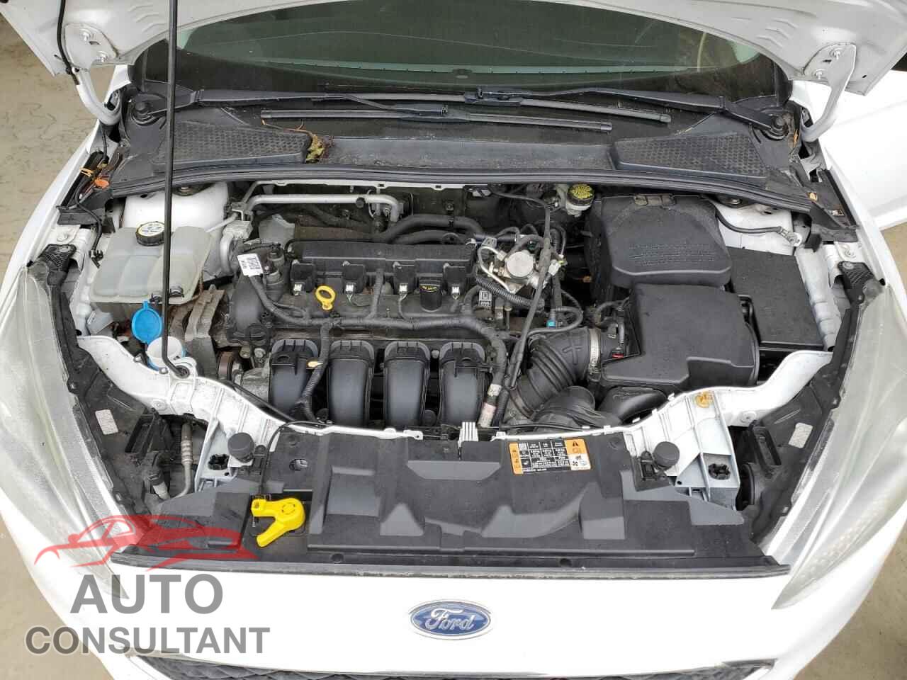 FORD FOCUS 2016 - 1FADP3E28GL339323