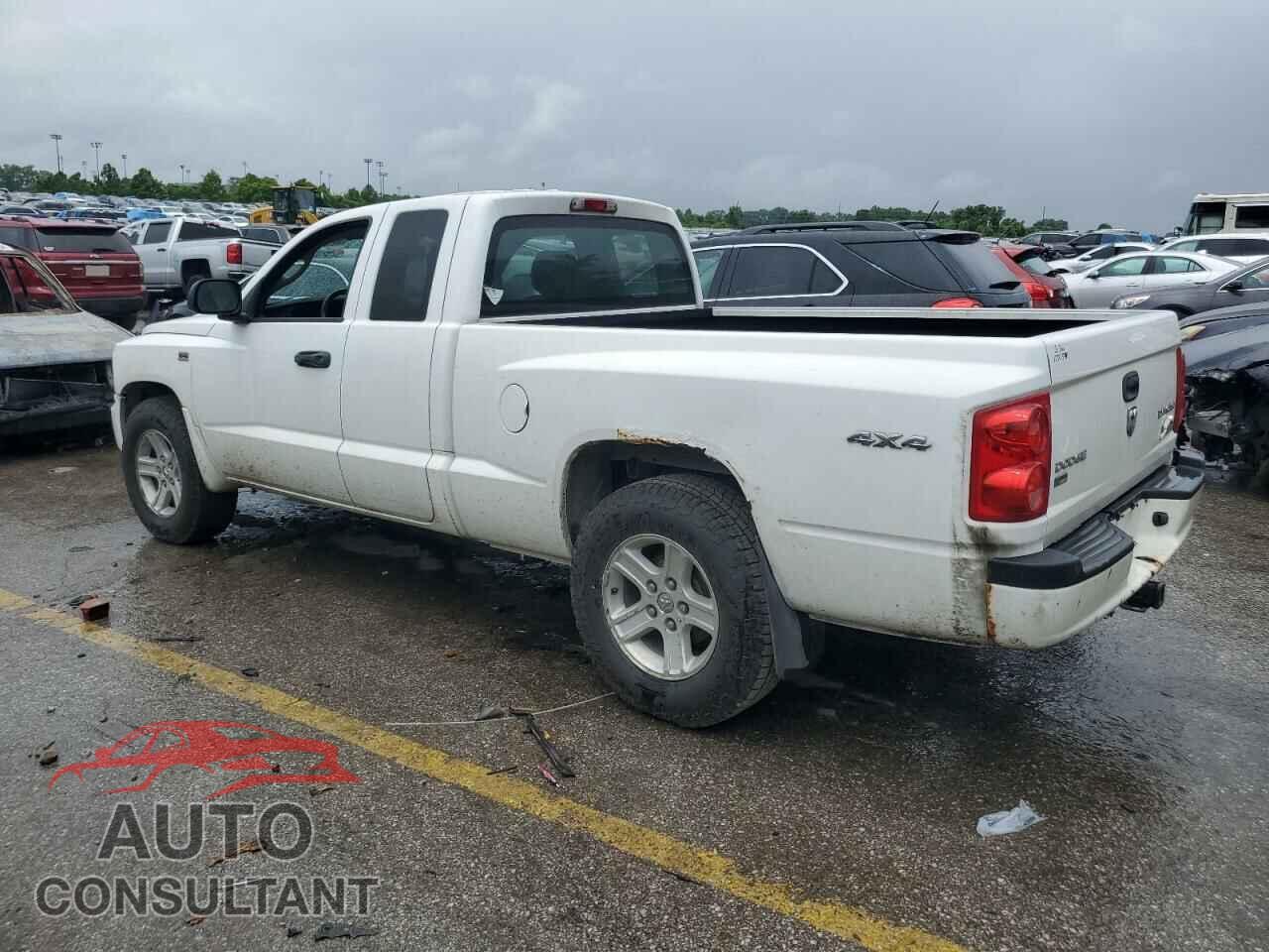DODGE DAKOTA 2011 - 1D7RW3BP4BS573868