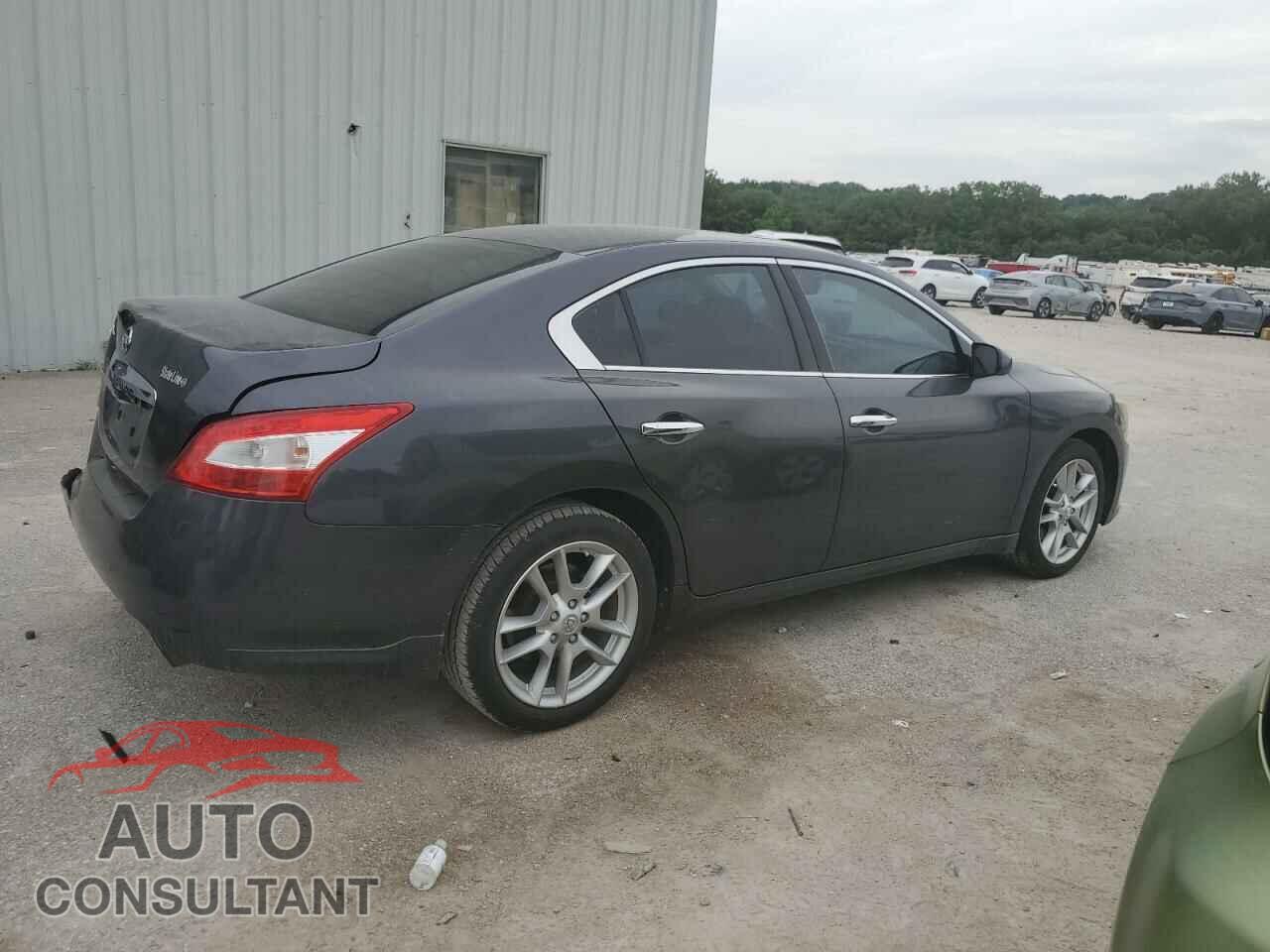 NISSAN MAXIMA 2009 - 1N4AA51E49C822570