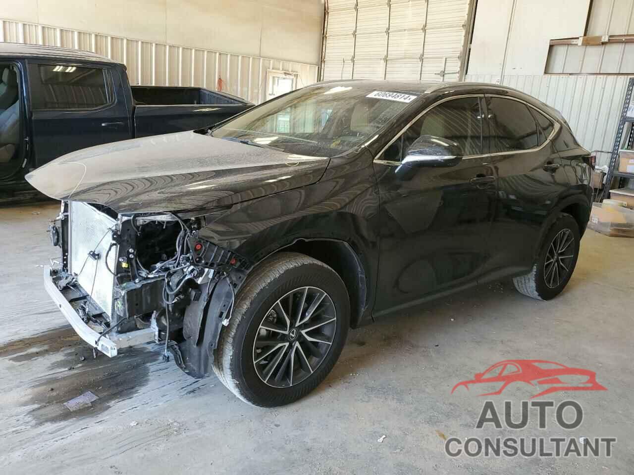 LEXUS NX 250 PRE 2024 - 2T2GDCAZ0RC015890