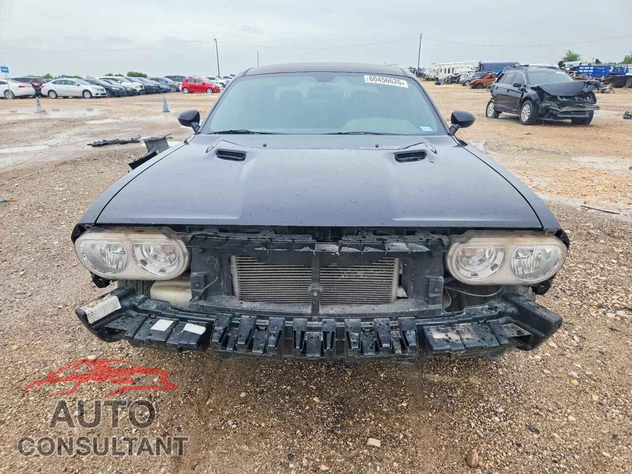 DODGE CHALLENGER 2014 - 2C3CDYBT9EH133984