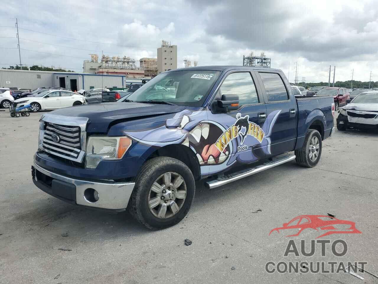 FORD F-150 2010 - 1FTEW1C86AFC27848