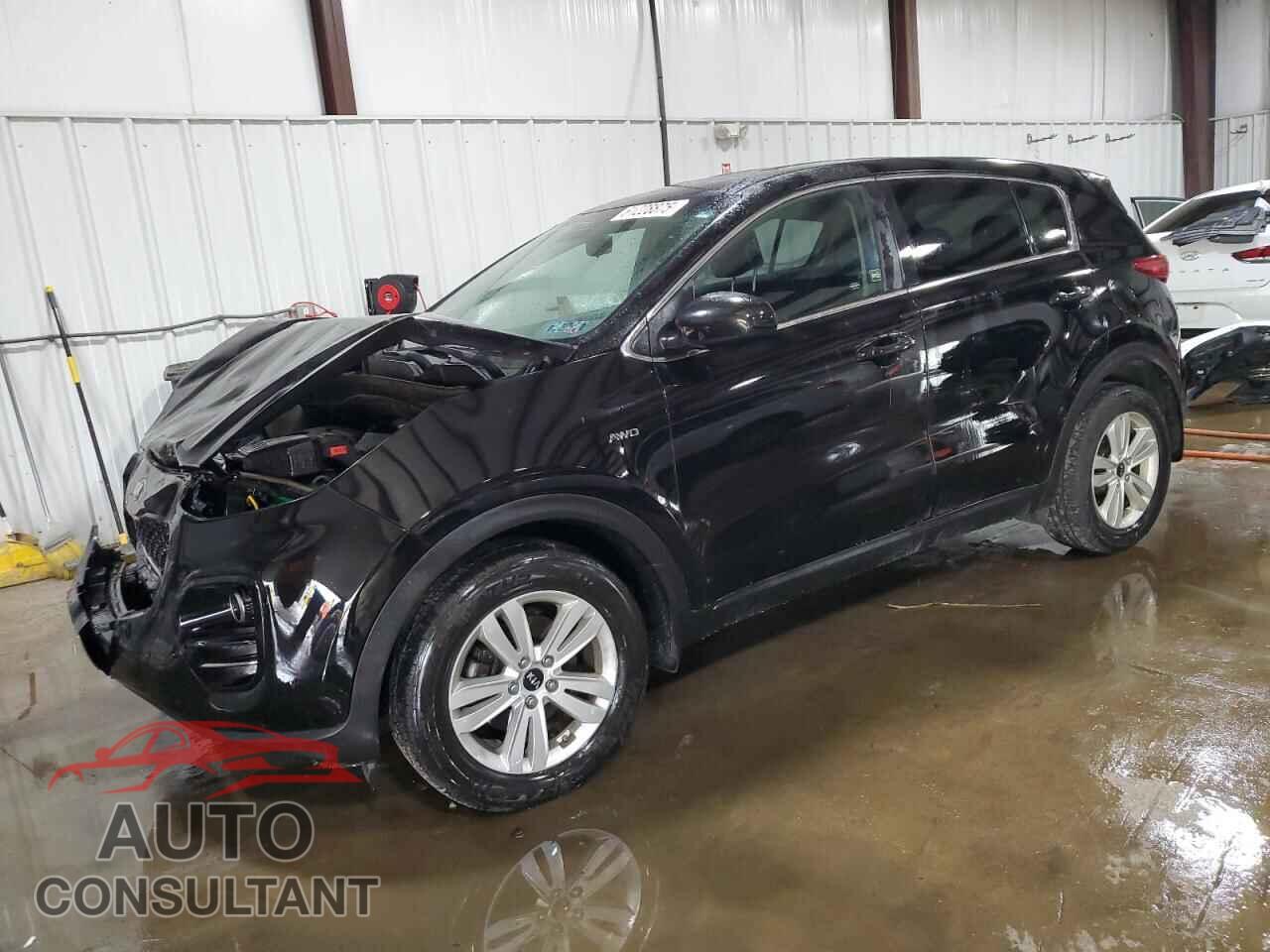 KIA SPORTAGE 2017 - KNDPMCAC0H7155647