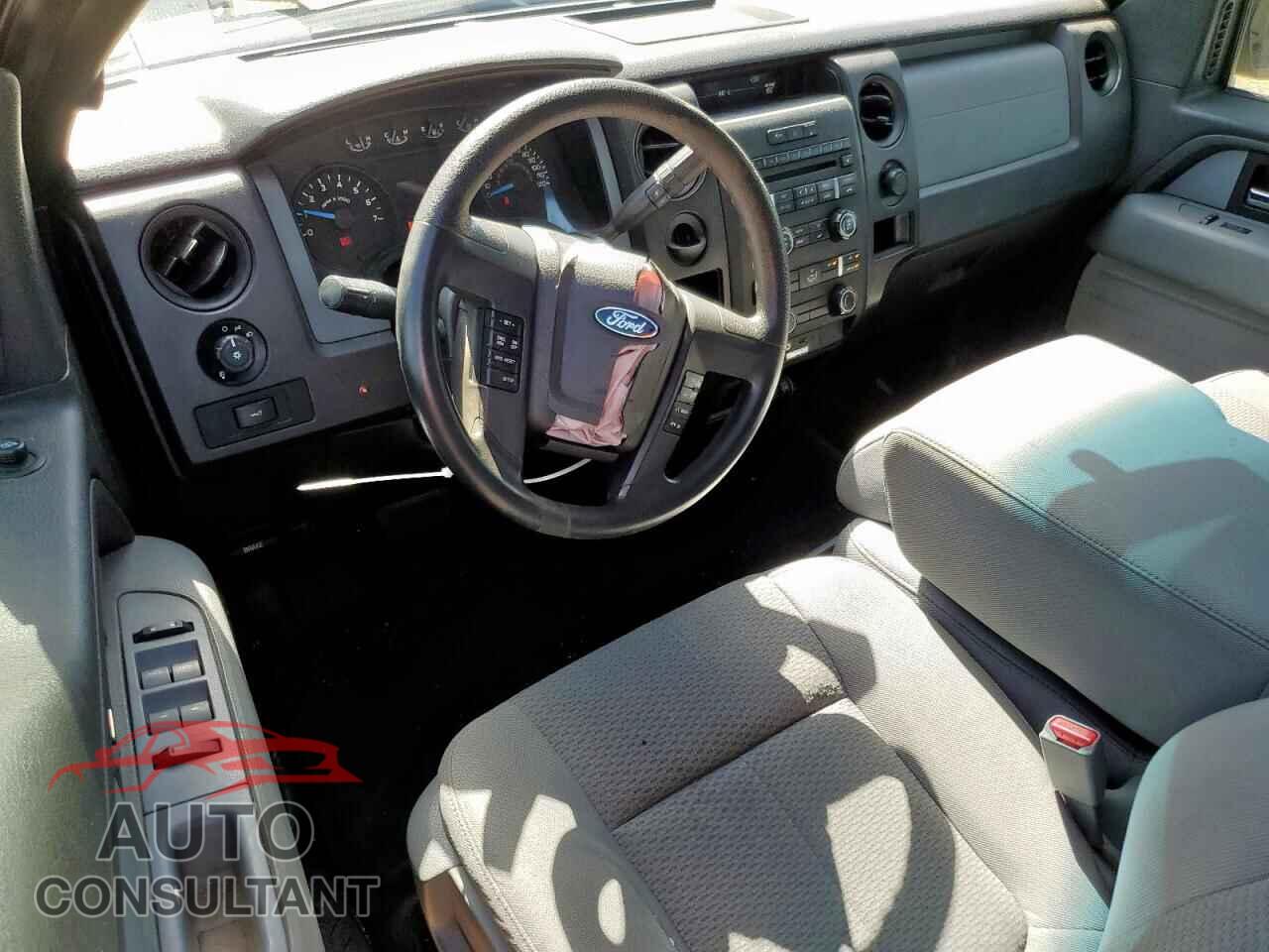 FORD F-150 2013 - 1FTFX1CF5DFD67605