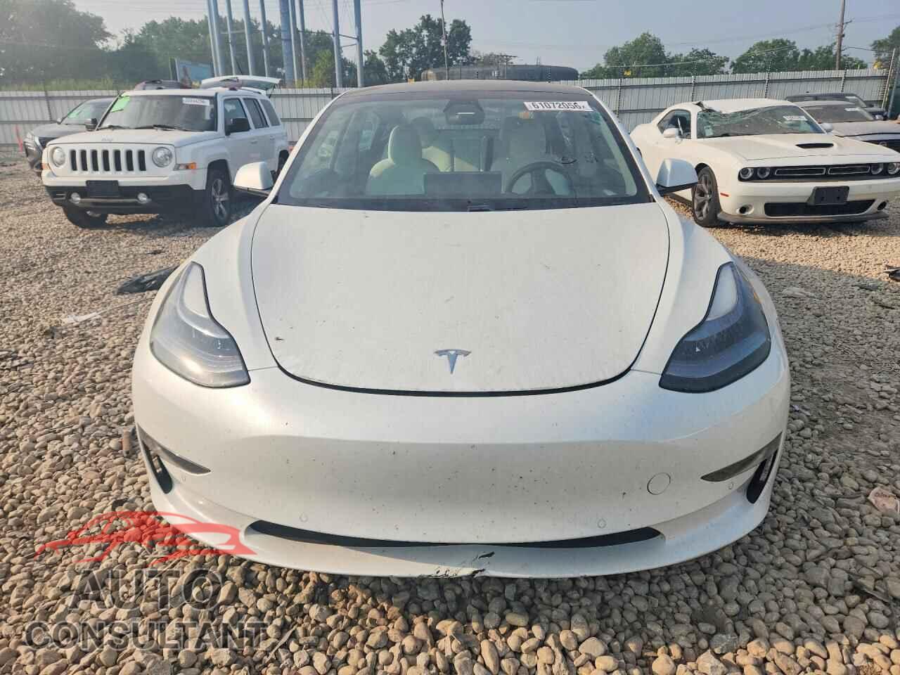 TESLA MODEL 3 2021 - 5YJ3E1EB5MF077565